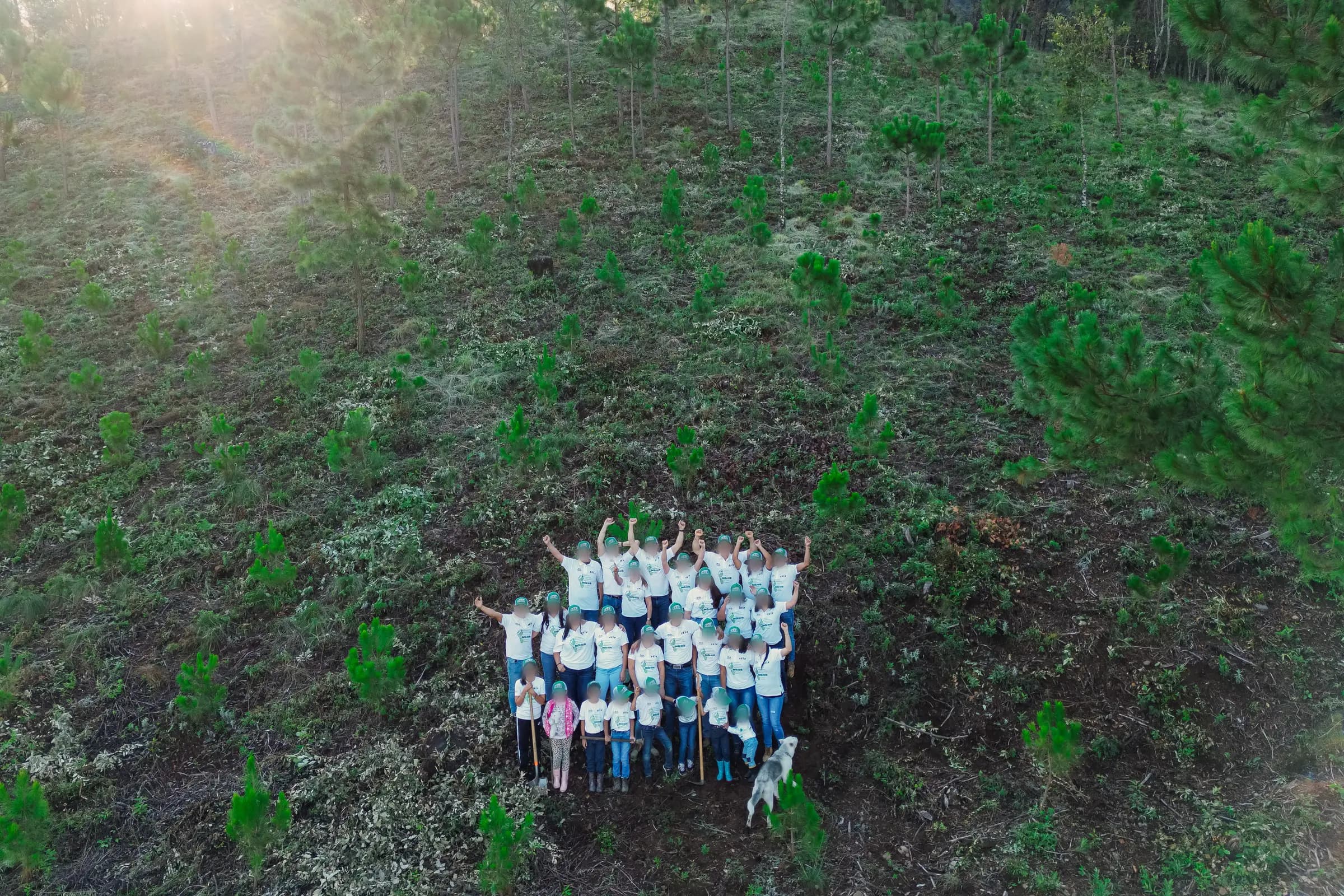 Equipo Sotova reunido durante una jornada de reforestación